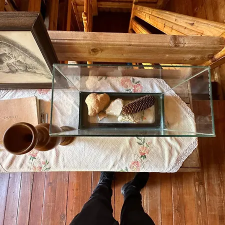 & Rilindja 山林小屋 *