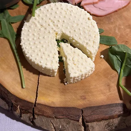 ロッジ & Rilindja *