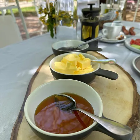 & Rilindja ロッジ *