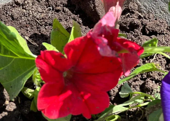 & Rilindja * Valbone