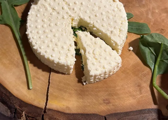 Domek letniskowy & Rilindja *